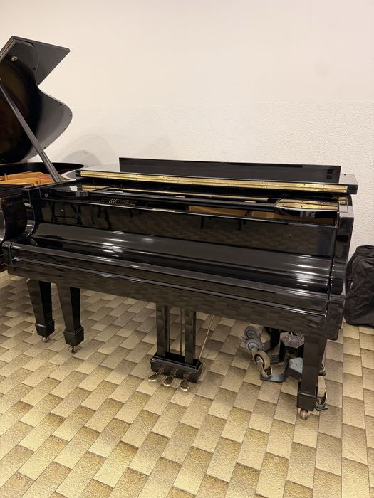 Piano de Cauda Hyundai G82
