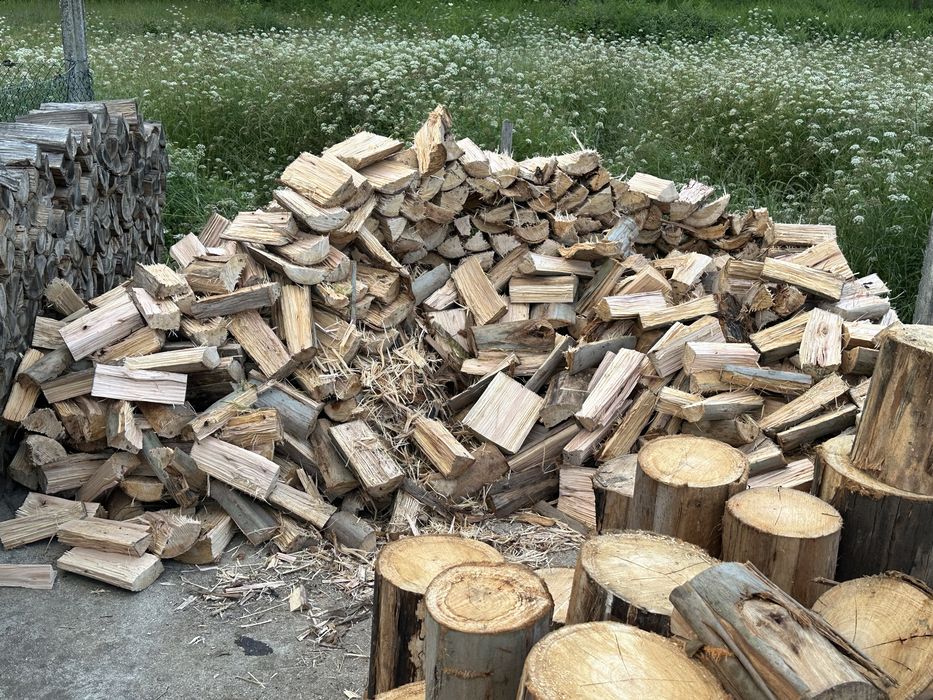 Lenha eucalipto seca