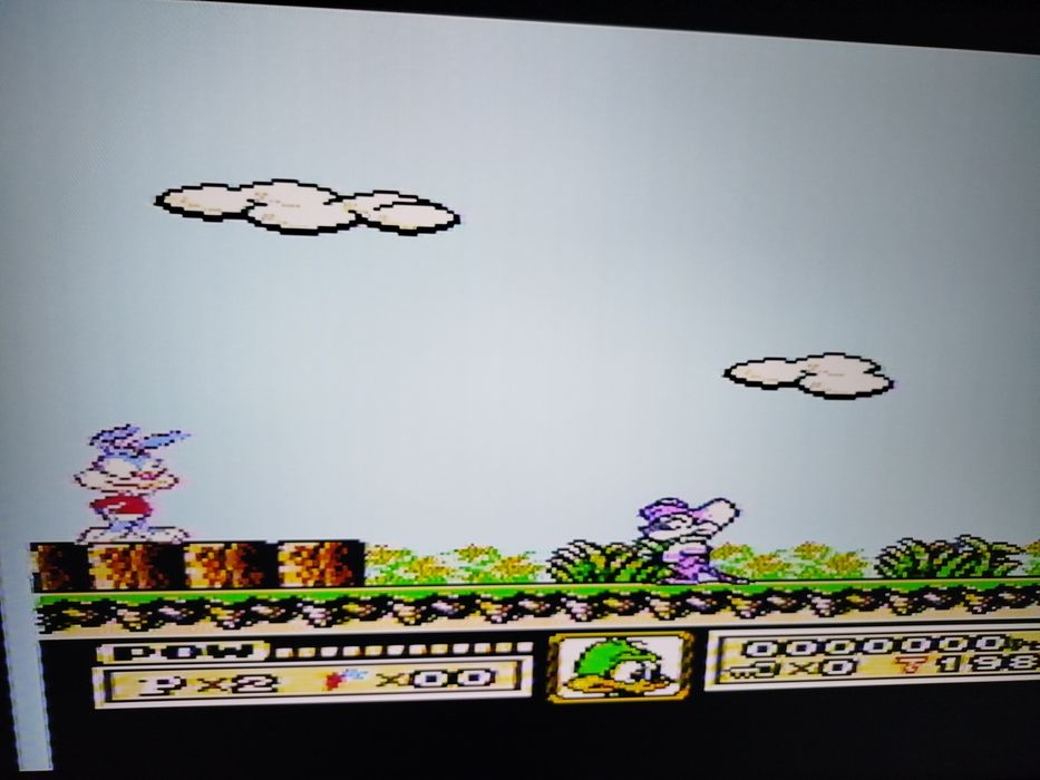 Gra Pegasus Tiny Toon