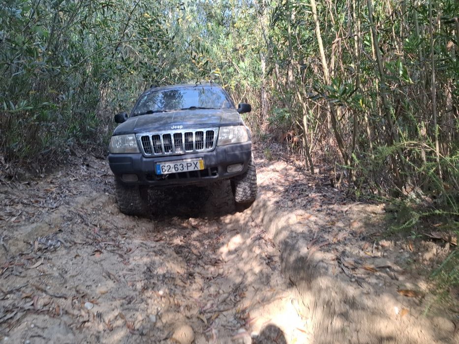 Jeep grand cherokee wj 3.1