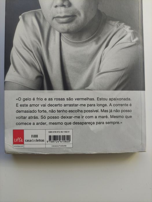 Sputnik, meu amor