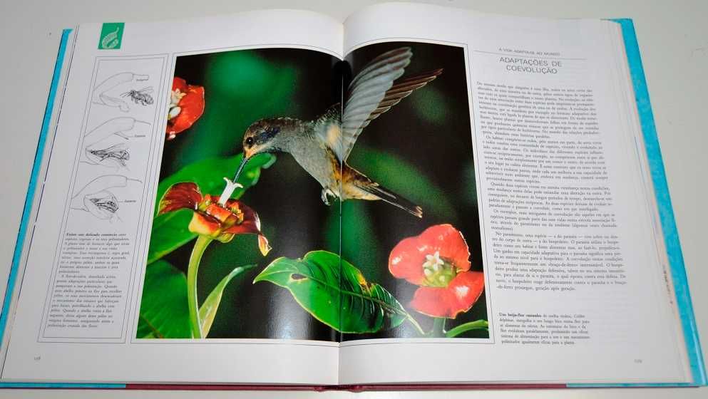 História Natural da Evolução