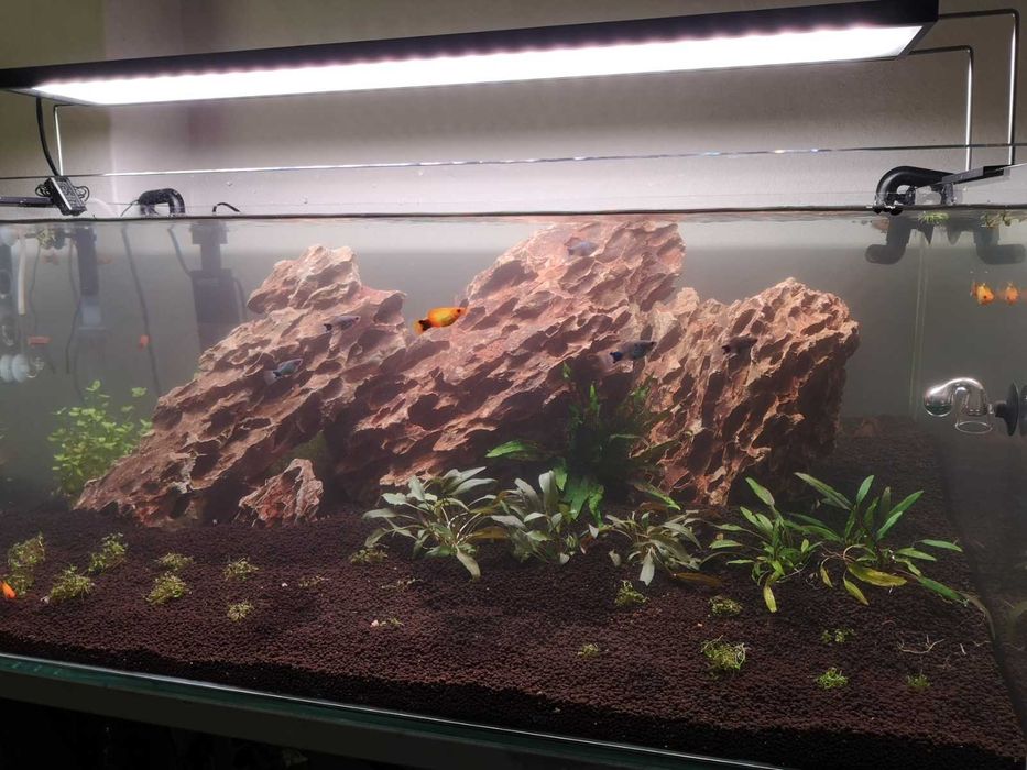 Aquário, estrutura 300 litros filtro