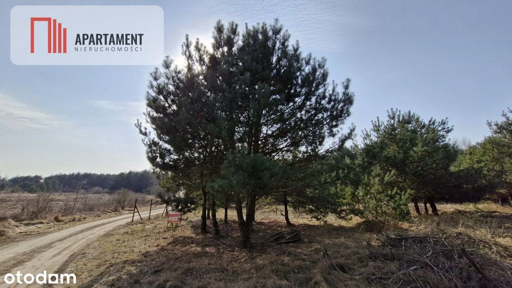 Bory Tucholskie – działka 1195 mkw pod budowę domu