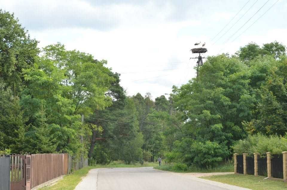 Zdjęcie 3