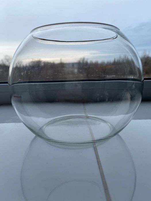 Аквариум з ультрафіолетовою підсвіткою