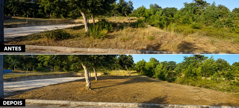 Limpeza de terrenos
