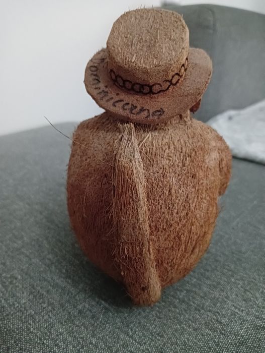 Macaco Chapéu Óculos Coco República Dominicana