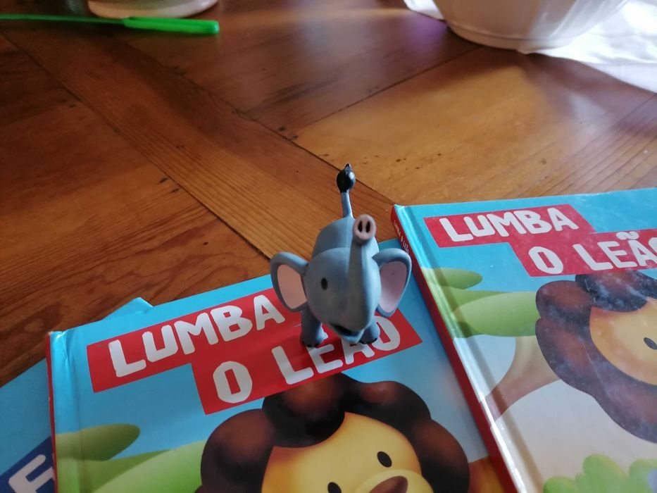 Livros e figuras Zoo RBA