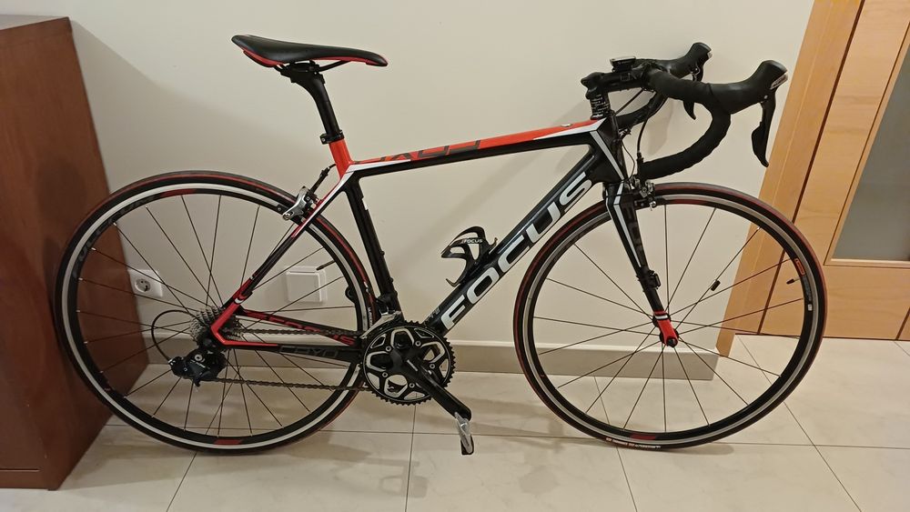 Focus cayo como nova