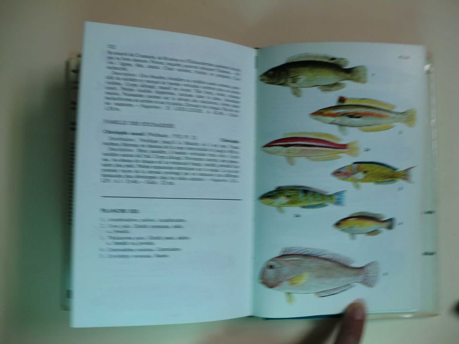 Guide des Poissons Marins d´Europe
de M.L. Bauchot - A. Pras
