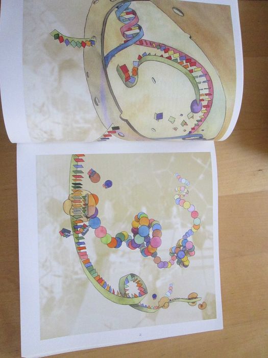 Os genes e a alimentação, dir. de Esther V. Schärer-Züblin