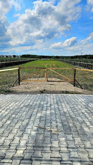 Duża działka inwestycyjna w Chełmie Śląskim – idealna pod usługi i zabudowę - Widok 2