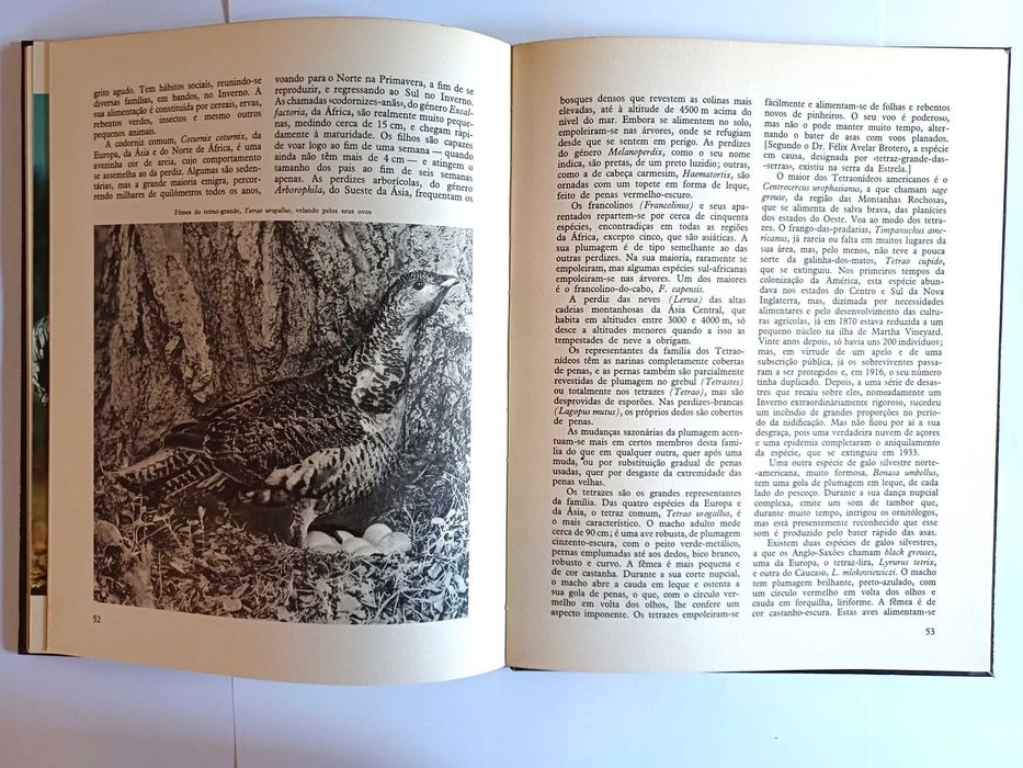 Enciclopédia do reino animal, vol 6 - sobre Aves, Verbo Juvenil 1970