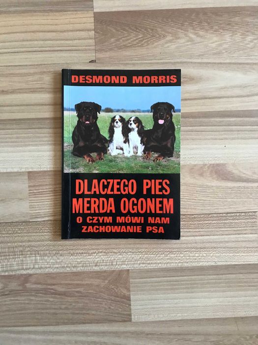 /Behawiorystyka pies psy/ Dlaczego pies merda ogonem Desmond Morris