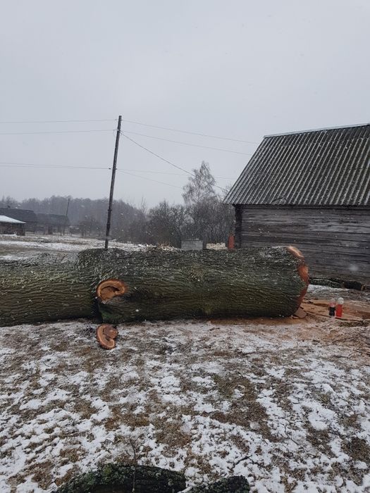 Продам дуба, комлеву частину, ціна вказана за цілий кусок, не за куб