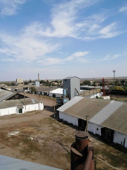 Продаж елеваторного комплексу ТОВ «Маловисківське ХПП «ТАС АГРО»