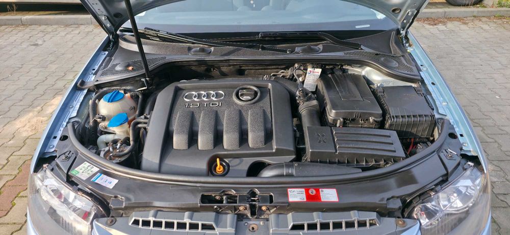 Audi A3 8p 1.9 TDI Ambiente