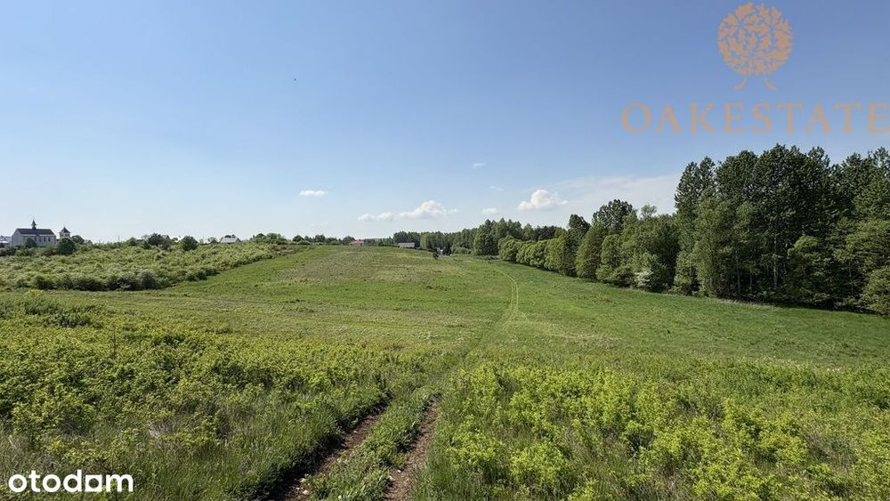 Malownicza działka 1,97 ha | Obice - Widok 5