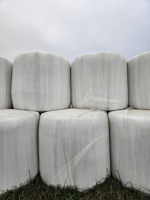 Sianokiszonka w belach, balotach