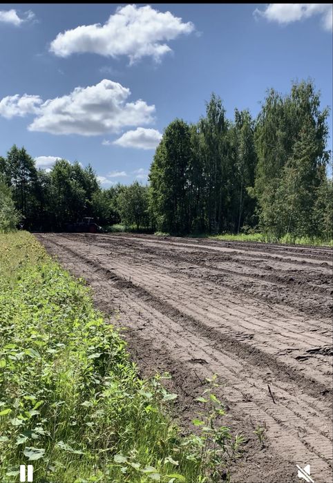Dzialka Pasek 2000 m² – pohled 2