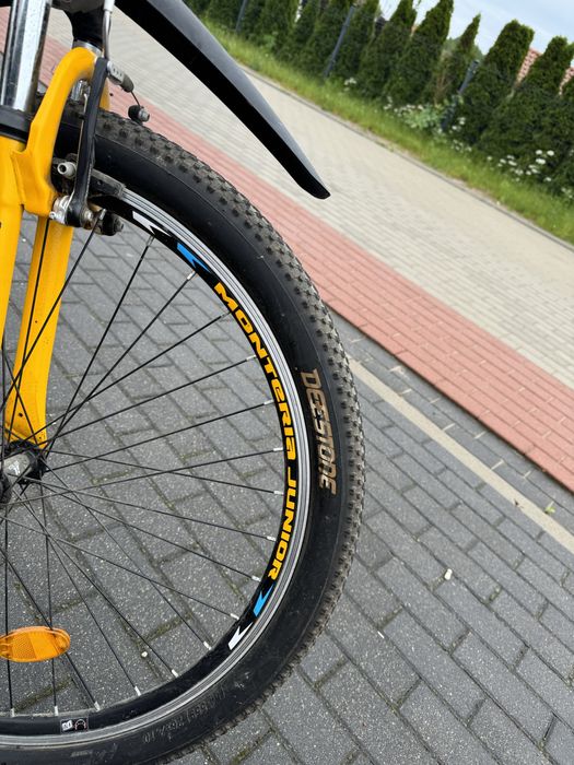 Rower Monteria Junior 26