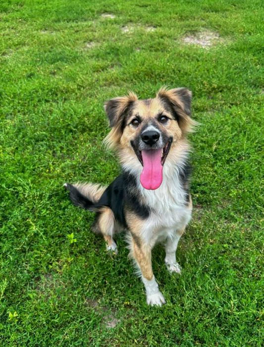 Cudny Mati szuka cudownej rodzinki