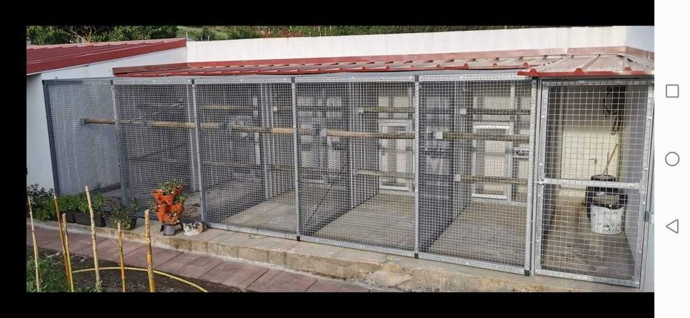 Blocos de Gaiolas com corredor de segurança por medida