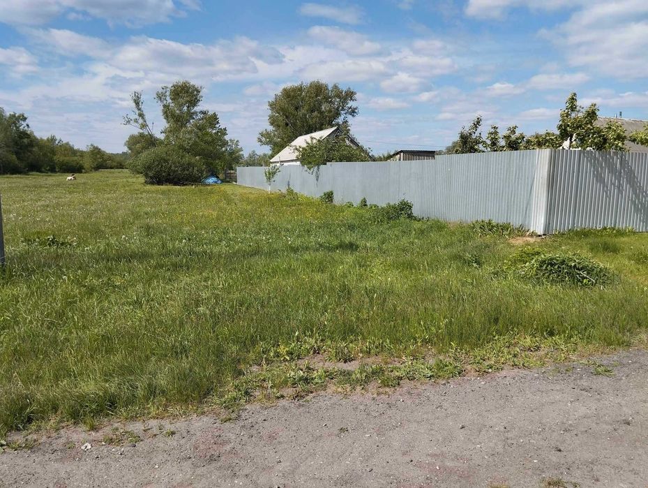 Земельна ділянка