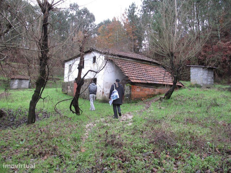 Terreno Com Ruina Lugar De Mogas