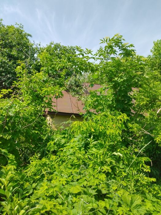 Продам дом с земельным участком