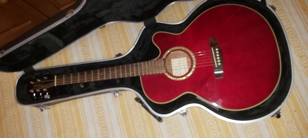 Viola acústica Takamine