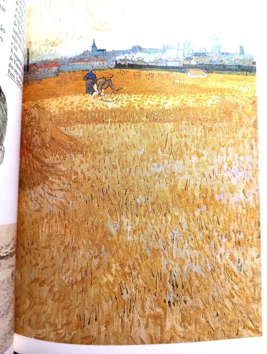 Van Gogh, a luz e a cor