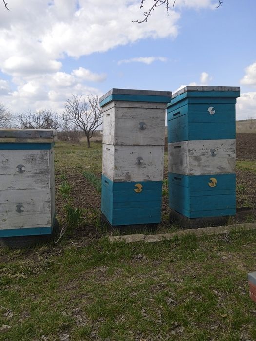 Продам вулики,рамки.