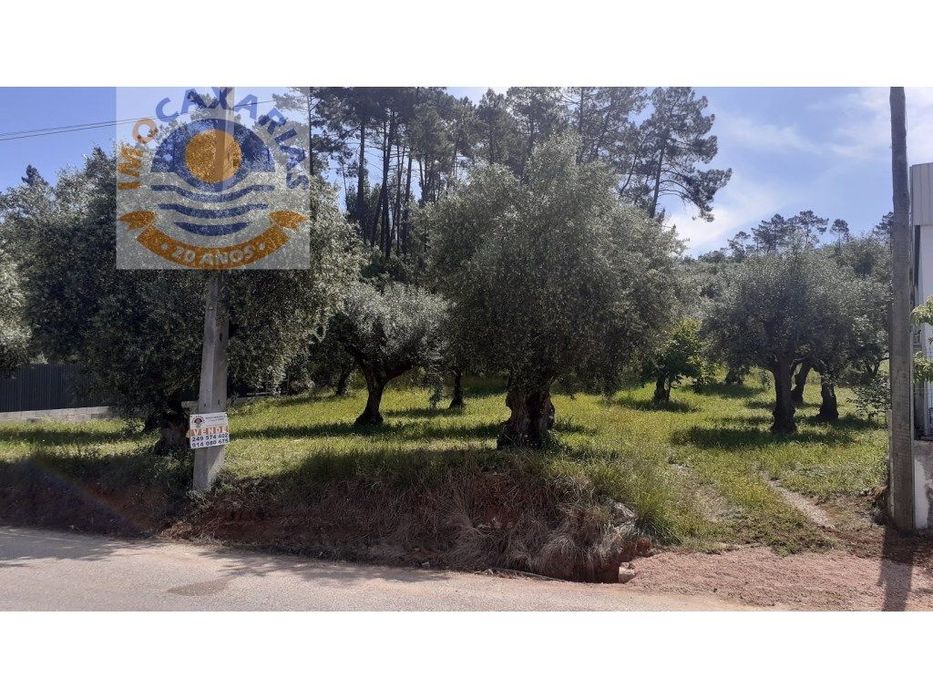 Terreno viabilidade de construção