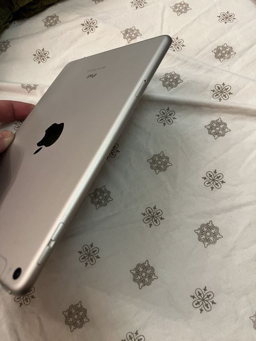 IPad Mini 5 256 Gb Silver LTE + WiFi