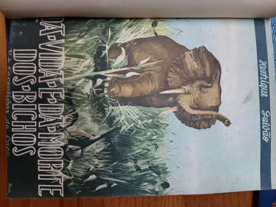 "A Vida e da Morte dos Bichos"