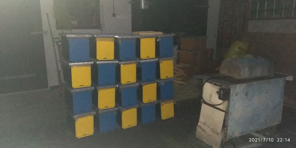 Skrzynki odkładowe wielkopolskie ule odkładowe pszczoły pasieka