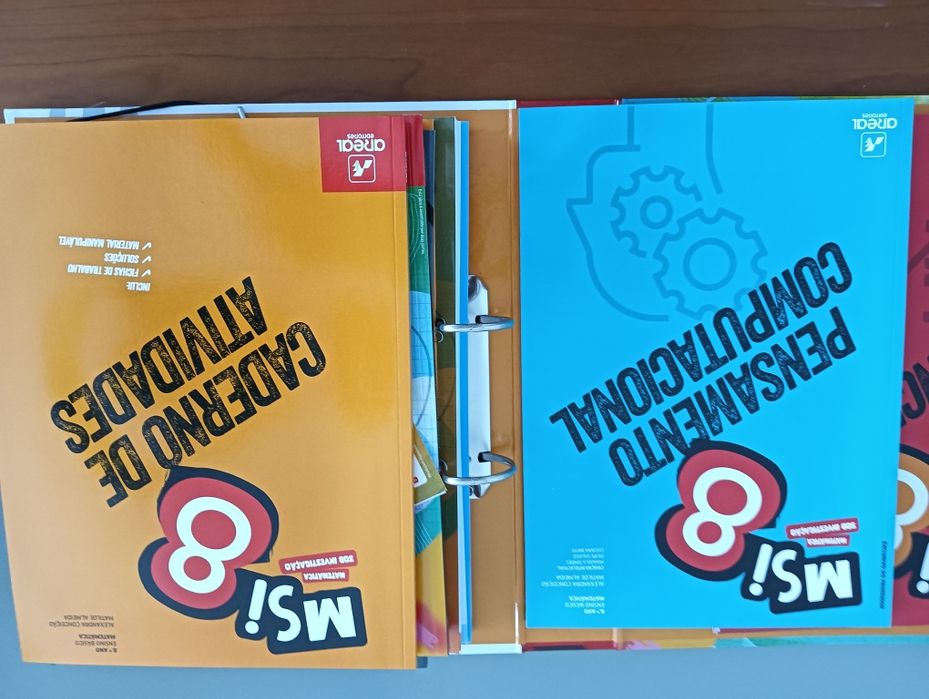 MSI 8 Matemática sob investigação 8º ANO - Inclusão*