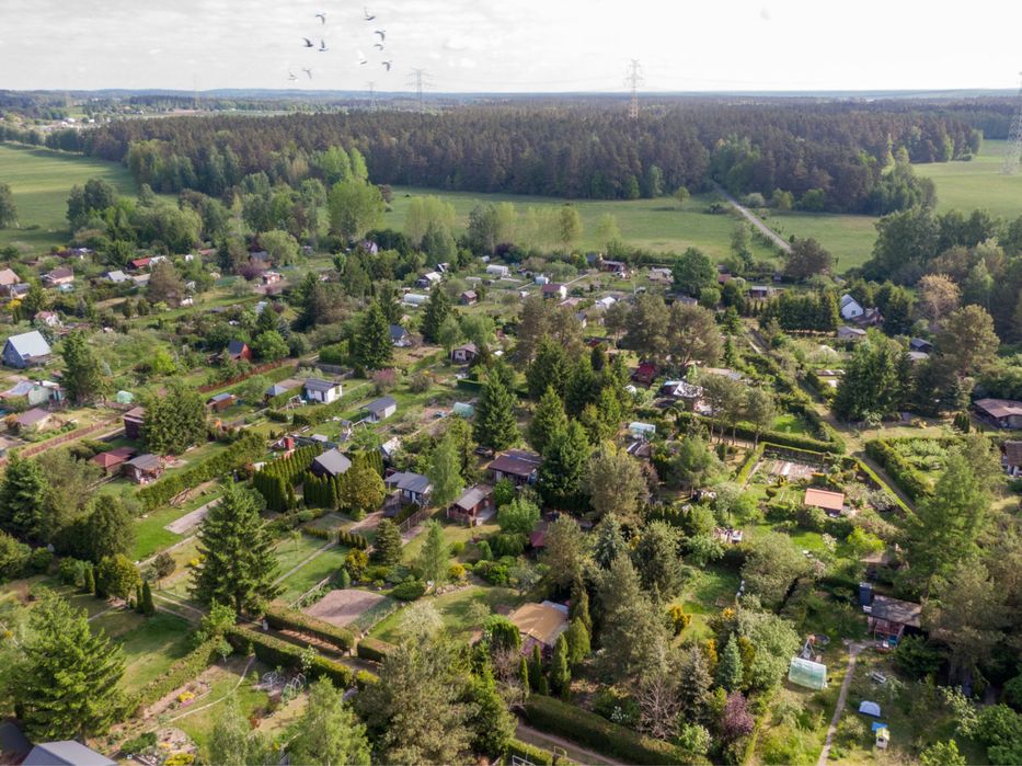 Działka ROD 830 m² Domek Letniskowy Szczytno Warmińsko-Mazurskie - Widok 5