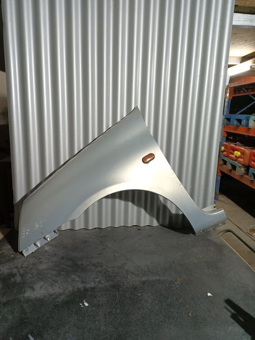 Guarda Lamas Renault Clio II ESQUERDO  Cinza F2