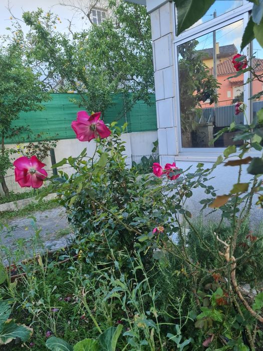 Quarto para alugar casal