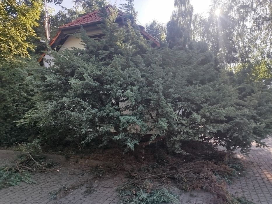 Pielęgnacja ogrodu