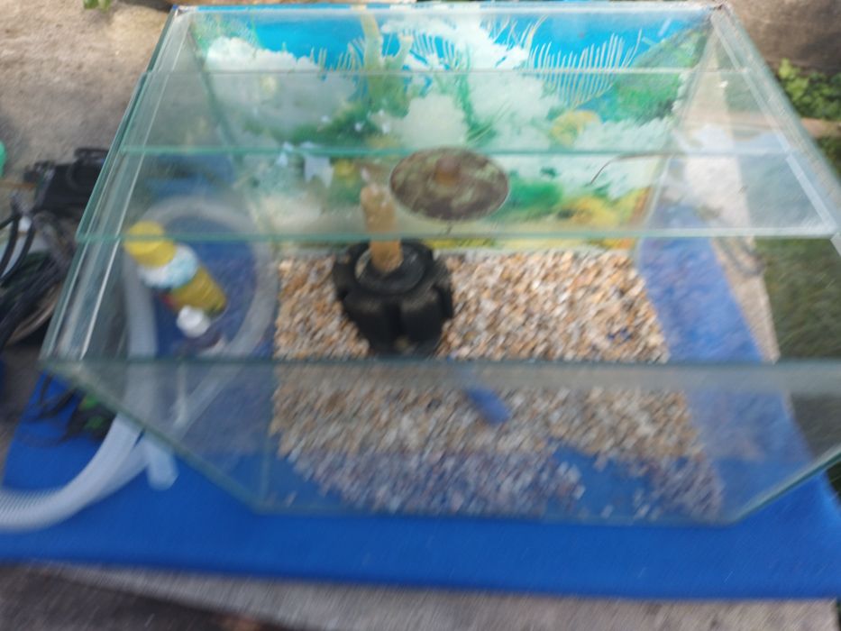 Aquário pequeno em bom estado