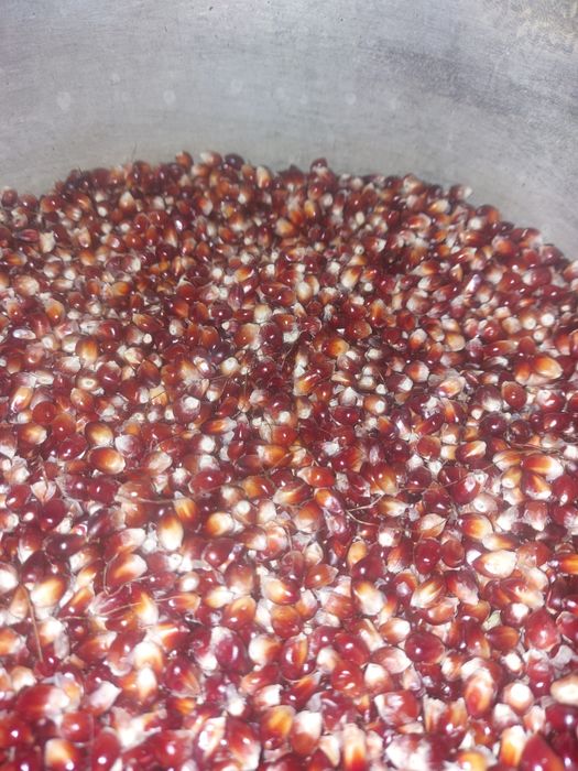 Продам поп корн в зернах