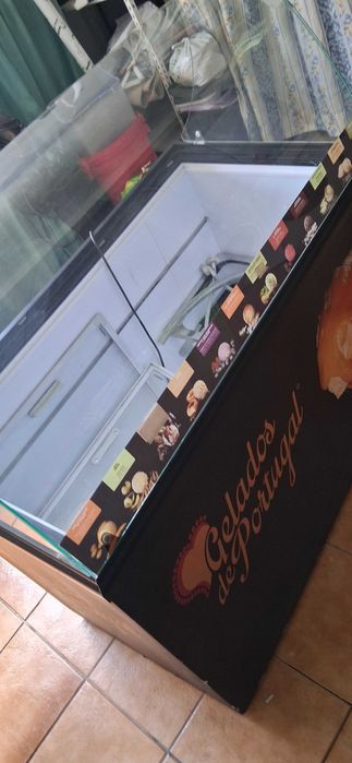 Arca Exposição Gelados
