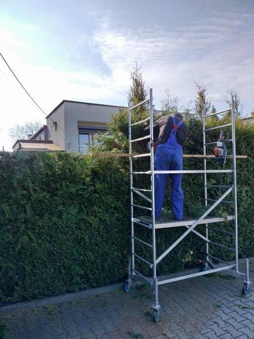 Przycinanie żywopłotów, wycinka drzew i krzewów, wywóz odpadów zielonych