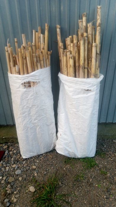 Varas cana Seca para horta, jardim, tutores