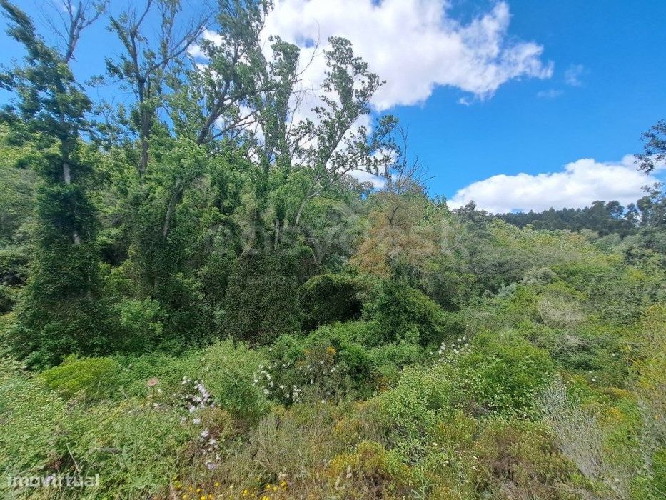 Maravilhoso Terreno Rústico envolvido num Mato de Sobreiros e fantá...