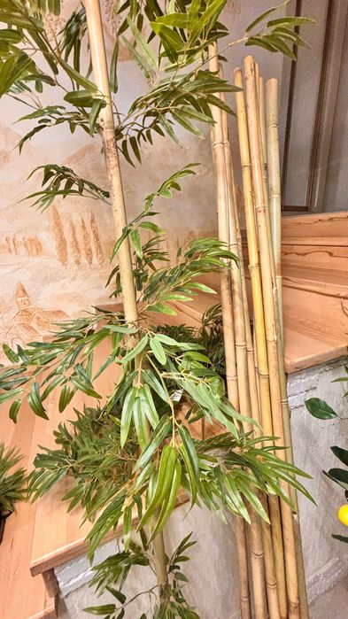 Бамбук штучний дерева
